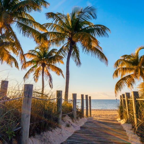 Weg zu einem Sandstrand mit Palmen unter blauem Himmel im warmen Sonnenlicht.